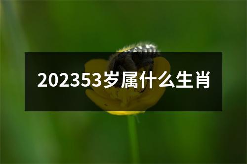 202353岁属什么生肖