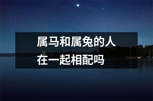 属马和属兔的人在一起相配吗