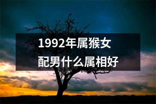 1992年属猴女配男什么属相好