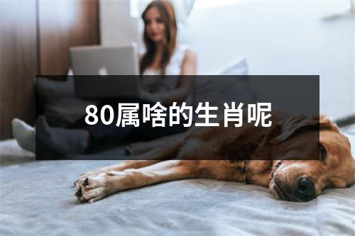 80属啥的生肖呢