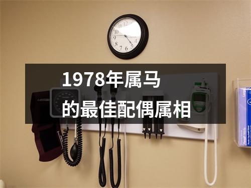 1978年属马的最佳配偶属相