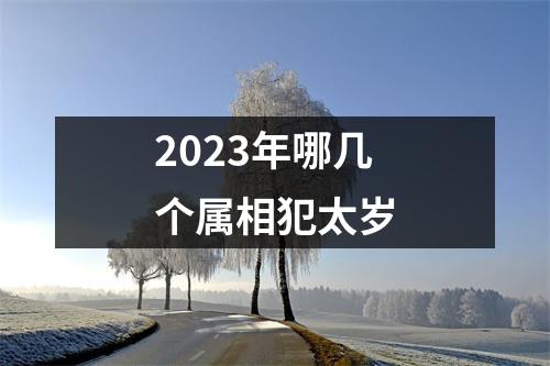 2023年哪几个属相犯太岁