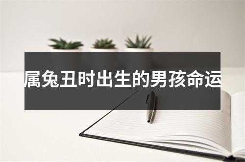 属兔丑时出生的男孩命运