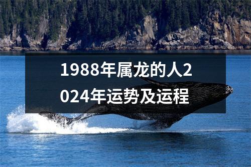 1988年属龙的人2024年运势及运程