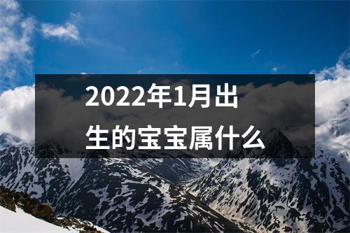 2022年1月出生的宝宝属什么