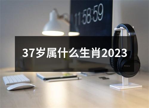 37岁属什么生肖2023