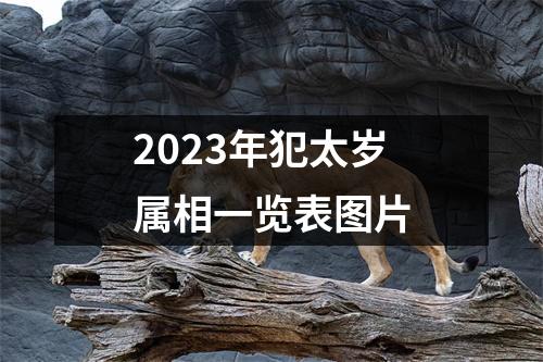 2023年犯太岁属相一览表图片