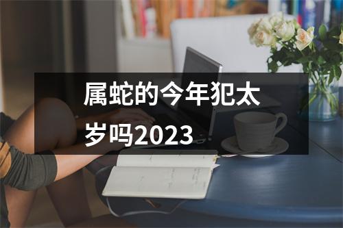 属蛇的今年犯太岁吗2023