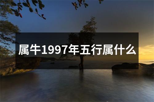 属牛1997年五行属什么