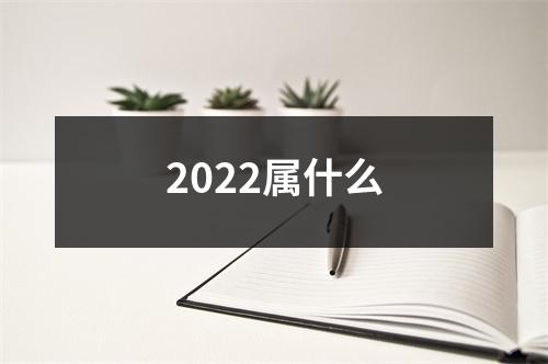 2022属什么