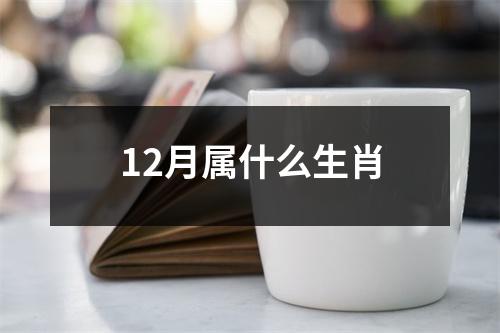 12月属什么生肖