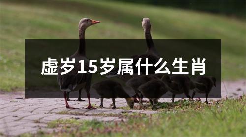 虚岁15岁属什么生肖