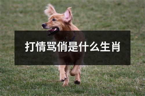 打情骂俏是什么生肖