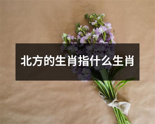 北方的生肖指什么生肖