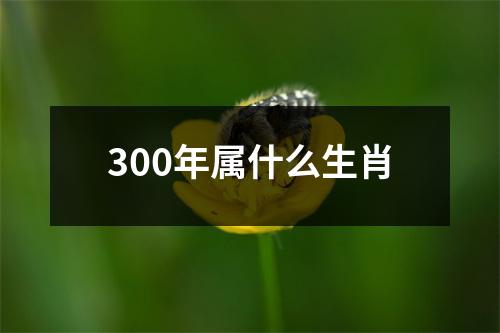 300年属什么生肖