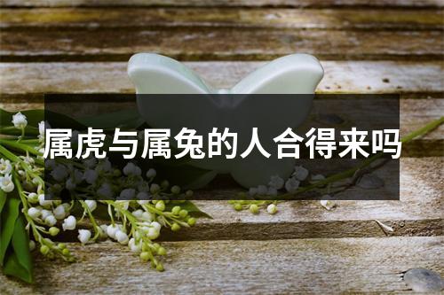 属虎与属兔的人合得来吗