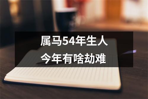 属马54年生人今年有啥劫难