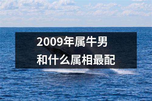 2009年属牛男和什么属相最配