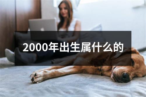 2000年出生属什么的