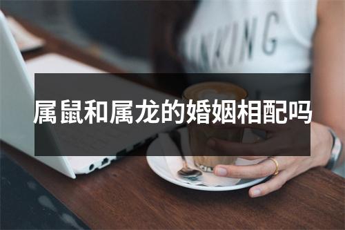 属鼠和属龙的婚姻相配吗