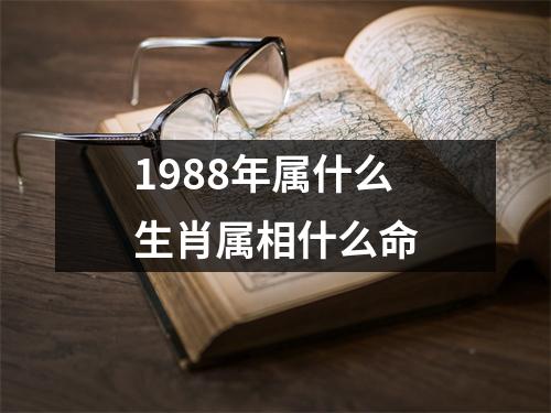 1988年属什么生肖属相什么命