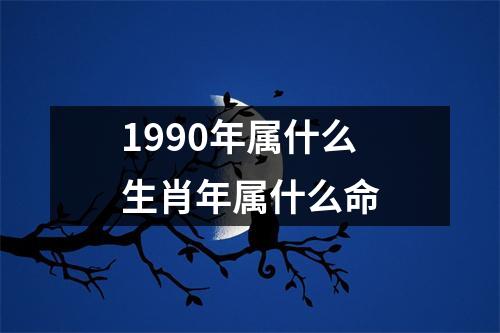 1990年属什么生肖年属什么命