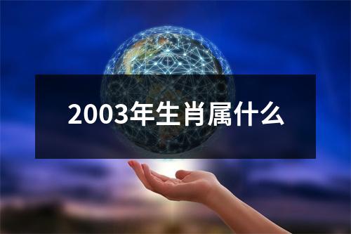 2003年生肖属什么