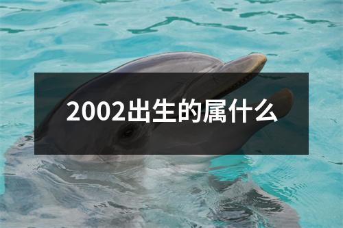 2002出生的属什么