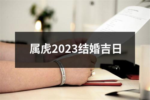 属虎2023结婚吉日