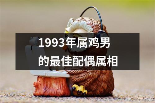 1993年属鸡男的最佳配偶属相