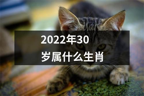 2022年30岁属什么生肖