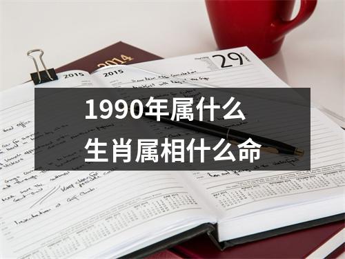 1990年属什么生肖属相什么命