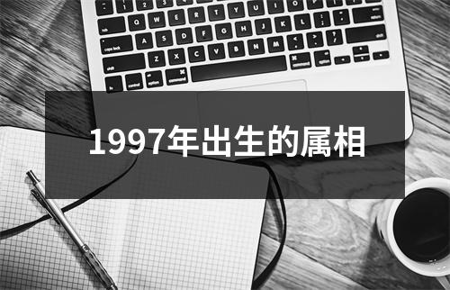 1997年出生的属相