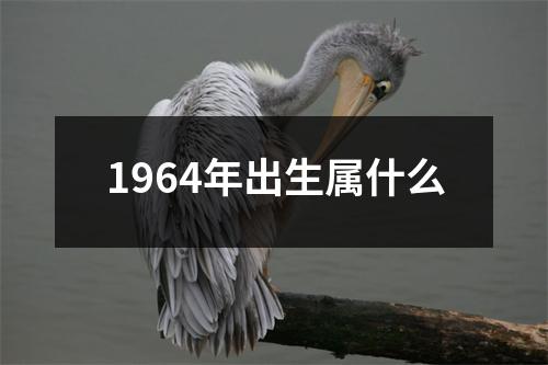 1964年出生属什么