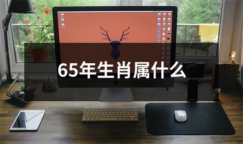 65年生肖属什么