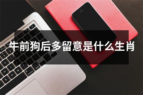 牛前狗后多留意是什么生肖