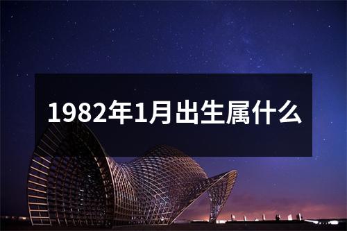 1982年1月出生属什么