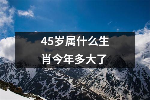 45岁属什么生肖今年多大了