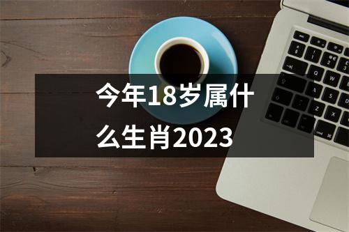 今年18岁属什么生肖2023