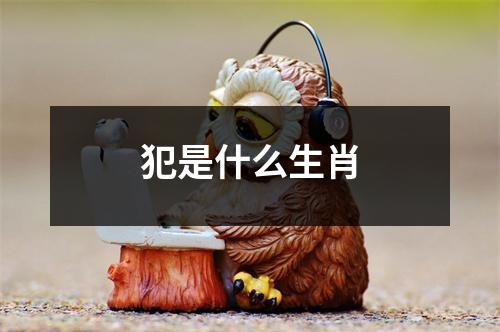 犯是什么生肖