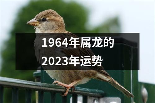 1964年属龙的2023年运势