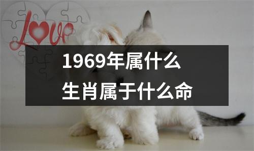 1969年属什么生肖属于什么命