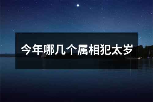 今年哪几个属相犯太岁