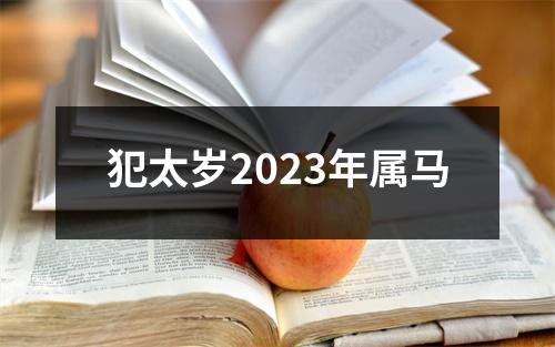 犯太岁2023年属马