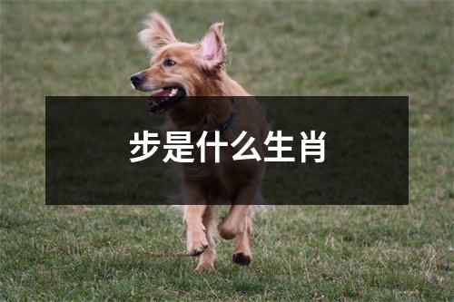 步是什么生肖