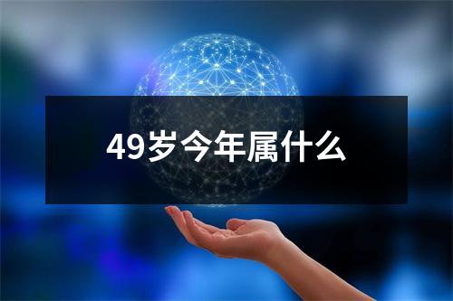 49岁今年属什么