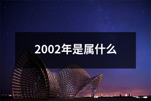 2002年是属什么