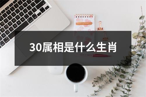 30属相是什么生肖