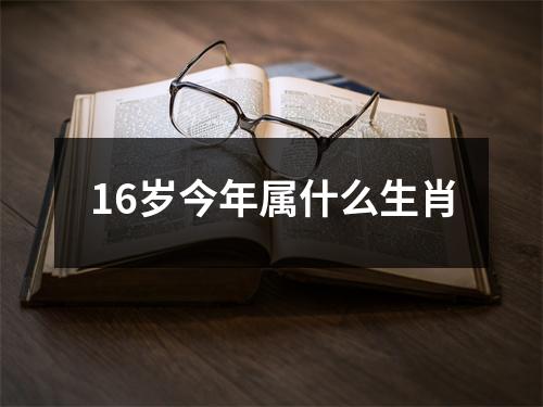 16岁今年属什么生肖