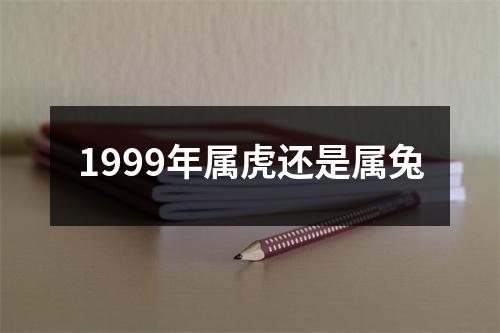 1999年属虎还是属兔